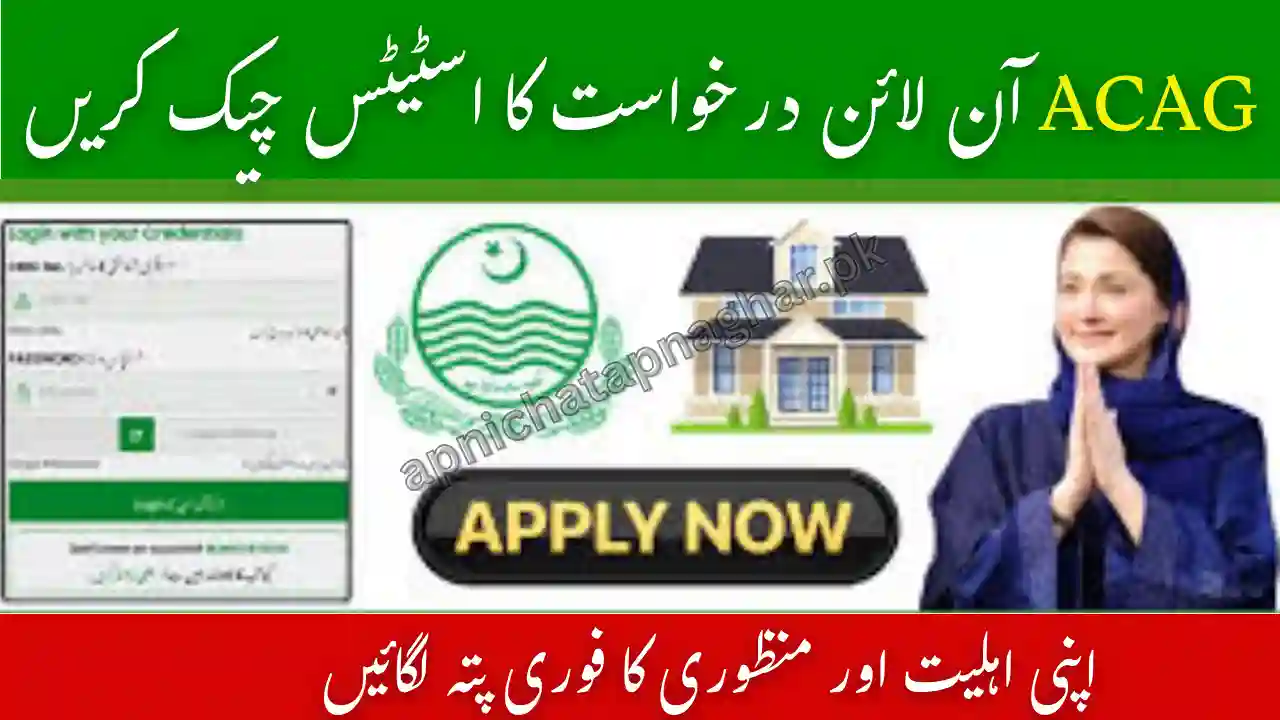 ACAG.Punjab.Gov.PK Application Status