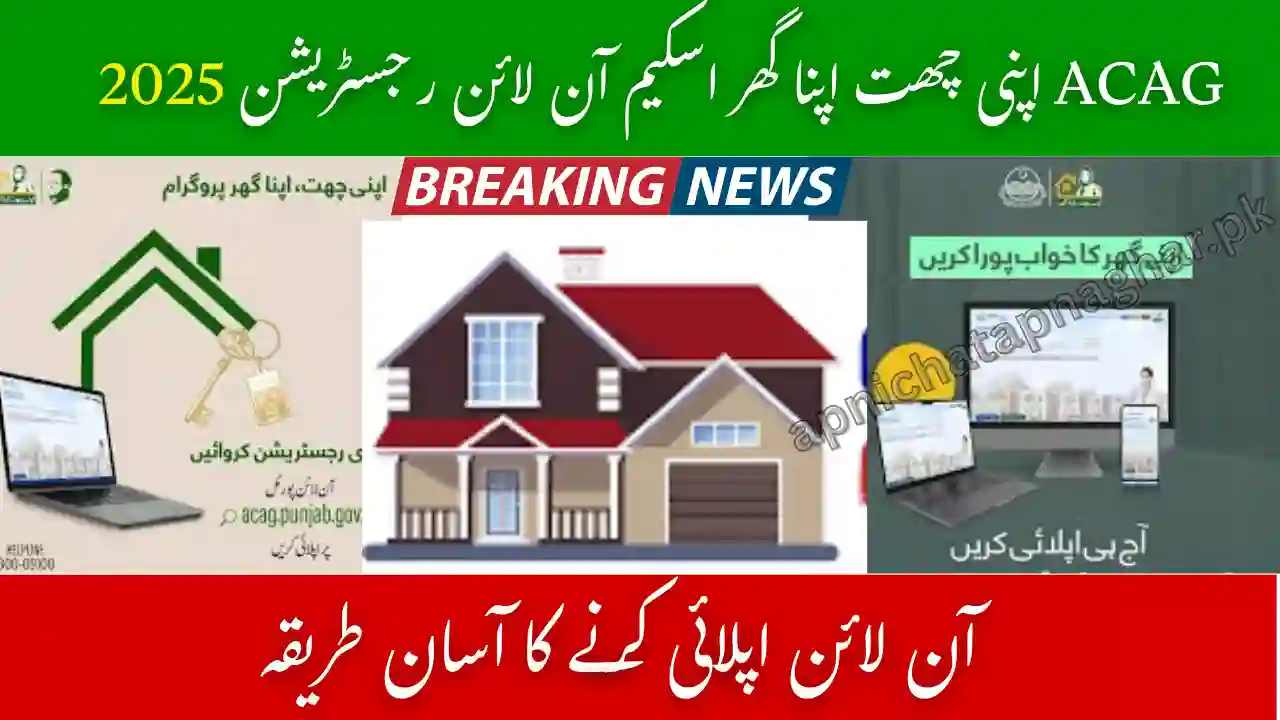 ACAG.Punjab.Gov.PK Online Apply