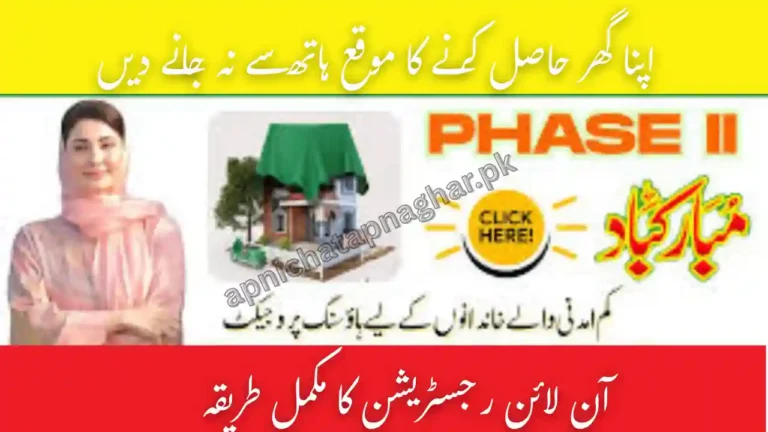 ACAG.Punjab.Gov.PK Portal Online Registration Phase 2