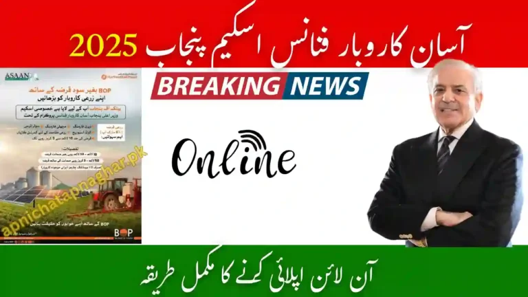 Asaan Karobar Finance Punjab 2025