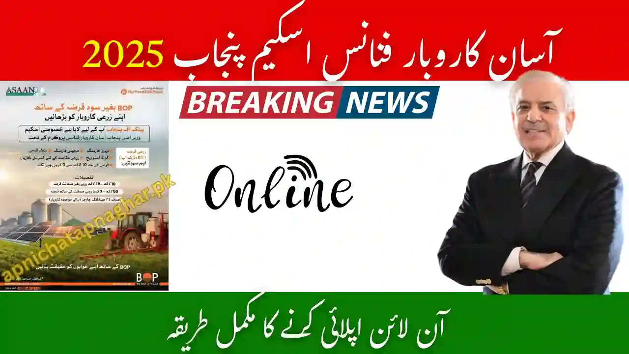 Asaan Karobar Finance Punjab 2025