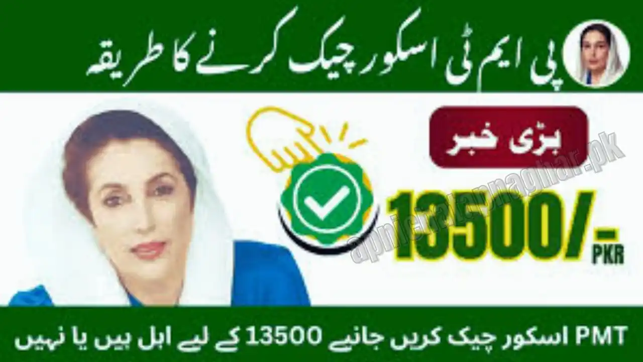Check 8171 PMT Score by CNIC
