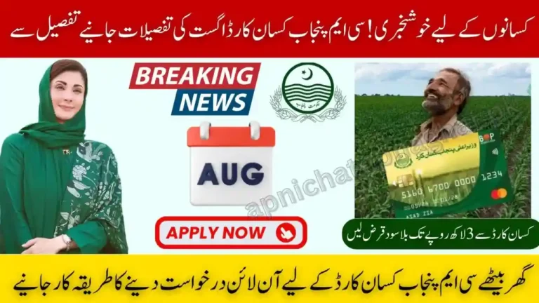 Check Your CM Punjab Kisan Card 2025