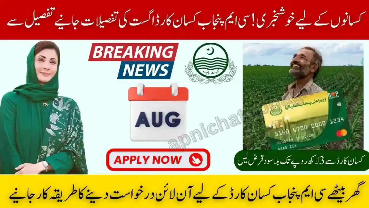 Check Your CM Punjab Kisan Card 2025