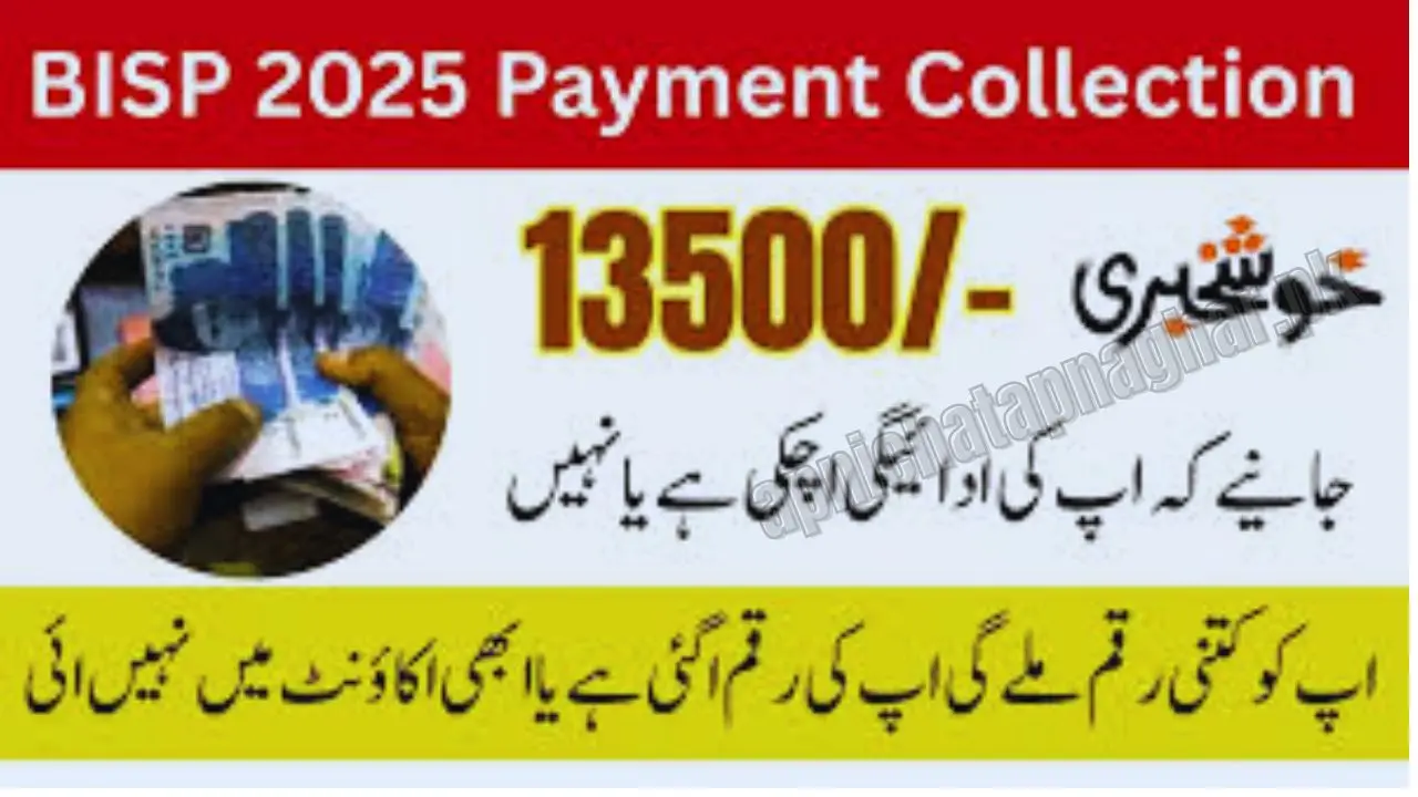 Ehsaas Kafalat Payment Collection Channels 2025