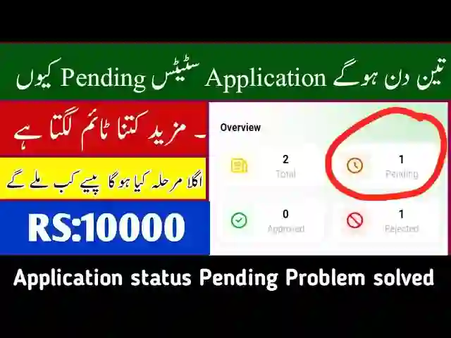 Application Pending Status